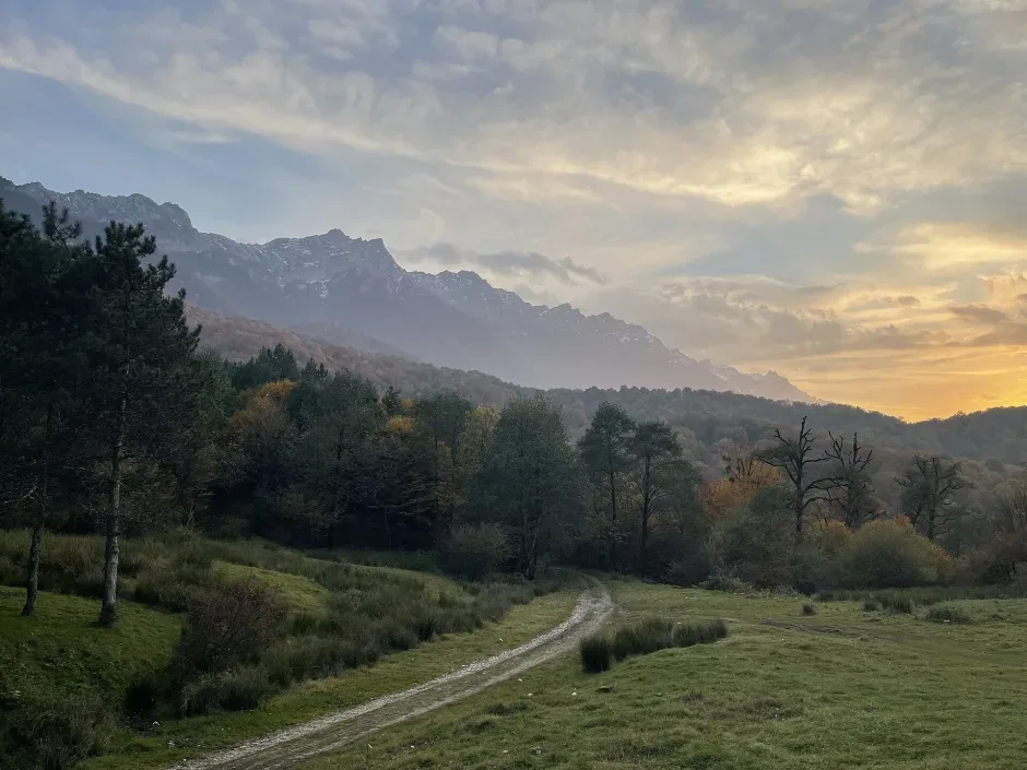 راه خاکی میان مرتع و جنگل پاییزی با کوههای مهگرفته در پسزمینه