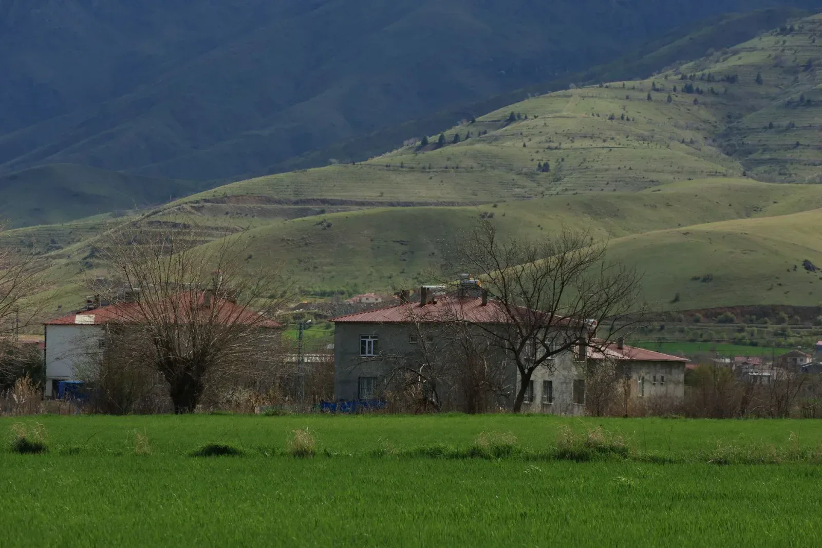 زندگی در چمستان چگونه است؟ امکانات، آبوهوا و شرایط سکونت
